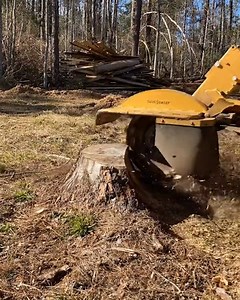 This is one mesmerising process 😮🪵 | LADbible