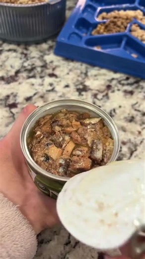 What My Dogs Eat for a Nutritious Breakfast Routine