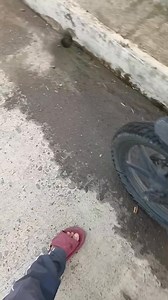 “On a bridge, a child writes lessons on fragile pages—where effort replaces comfort and determination fuels every word. While others are given everything yet choose to waste it. If paths were reversed, would gratitude remain? Education is a privilege. Padayon sa pangandoy.” | Pintik ni uto