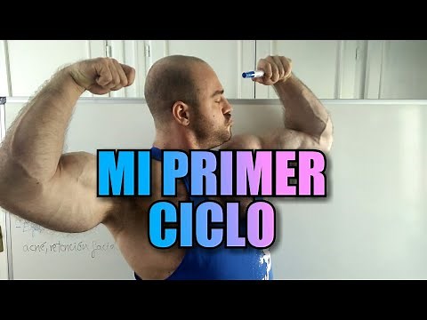 MI PRIMER CICLO