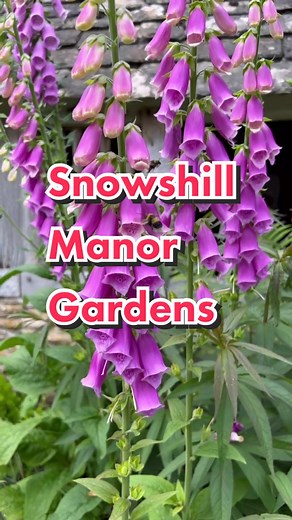 @National Trust Snowshill Manor Gardens🍃🌸 #nationaltrust #garden #gardensoftiktok #summervibes #prettyplace #thecotswolds #visitthecotswolds #cotswoldslife #staycationuk #thingstodo #britishholiday #visitengland #visitbritain #travelblogger #uktravel #countryside #summer #gloucestershire