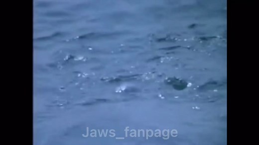 Chrissie #foryoupage #fyp #foryou #jaws #jaws_fanpage