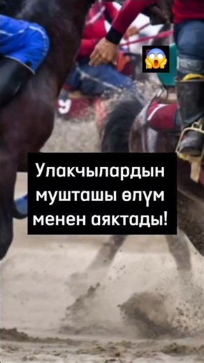 КӨК БӨРҮ ОЮНУНА ДАГЫ БИР ДАК ТҮШТҮ #allahakbar #watermelon #америка #кыргызстан #казахстан #палестин