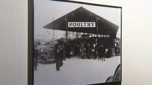 Fresh poultry processor/vendor hopes to open by Thanksgiving