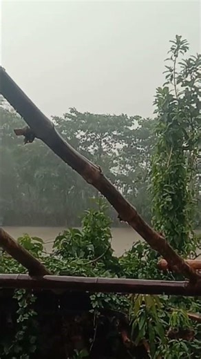 Relaxing Rain Drip Sounds 🌧️ | Calming Water Drops for Sleep & Stress Relief