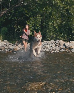 Our high-protein nutrition makes a difference in your dog, from day ONE. | Purina ONE