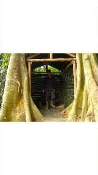 Build Amazing Hidden Bamboo Shelter #shorts #survival #bushcraft #survivalskills #shortsfeed #camp
