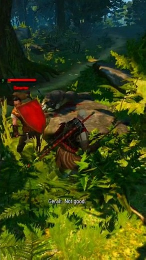 Bandit Camp | Velen- RefugeeCamp| Difficult to break Shield Bandit | @CDPROJEKTRED @thewitcher