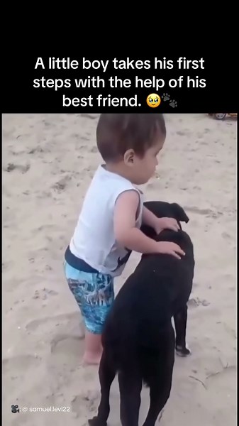 A little boy takes his first step’s with the help of his best friend. 🥹🐾