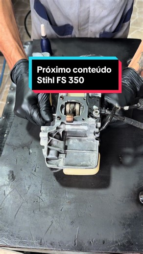 Prévia do Stihl FS 350: O que Esperar