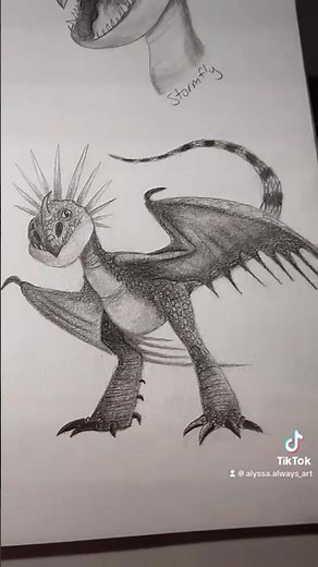 How to draw toothless and Stormfly!