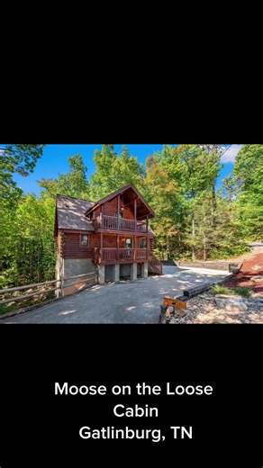 Moose on the Loose Cabin on TikTok