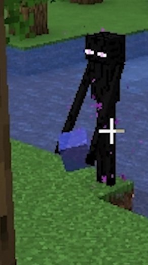 Minecraft Adventure: Combat in a Lush Forest