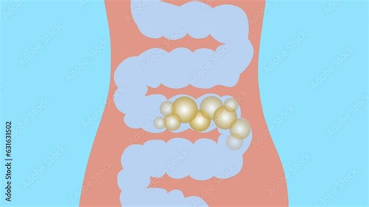 animation digestive system. intestines, gases, flatulence, bloating, bacteria