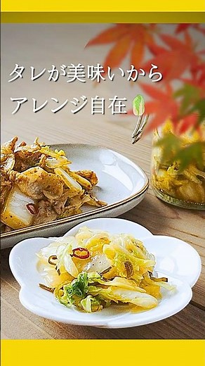 【白菜レシピ】もう余らない！即日食べれてアレンジも自由自在！