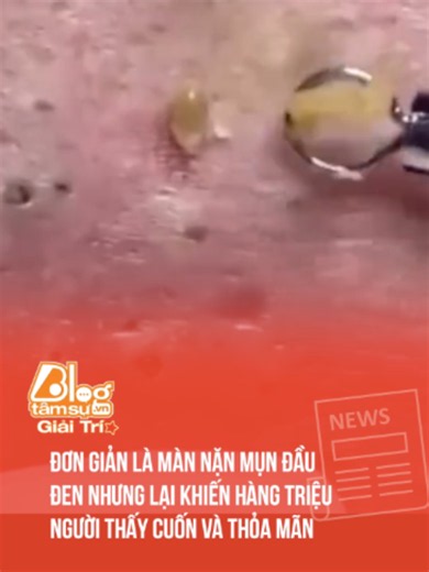 Đóng tiền mạng chỉ để xem cái này #blogtamsu #blogtamsugiaitri #btsmedia #xuhuong #meme