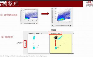 flowjo 教程