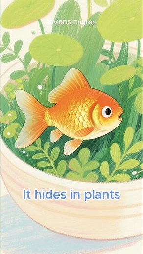 My Pet Fish | Swim & Shine