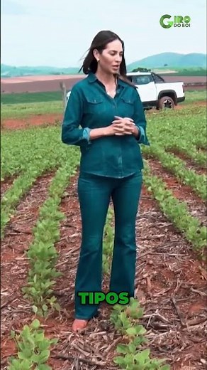 How did Fazenda Cigana become a national reference in profitability?