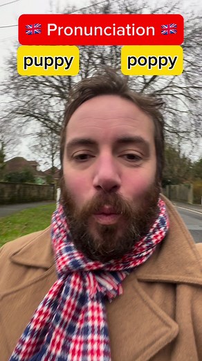 Learn how to pronounce ‘poppy’ 🍁 and ‘puppy’ in a British RP accent! 🇬🇧🔍 Learn about the difference. Can you catch the difference? ‘Poppy’ is a type of flower. ‘Puppy ’ is a young dog. Perfect British pronunciation on your way to English fluency! 🗣️📈 🌍💬 #englishlearning #learnenglish #learningenglish #britishenglish #englishpronunciation #pronunciation #learn_english #britishpronunciation | English Right Now