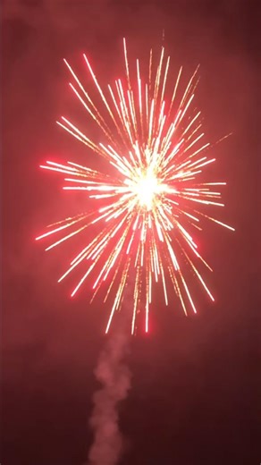 Baby Tactical Penguin Artillery Shells (6 Inch Shells)