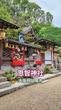 【恩智神社】神兎と神龍がお出迎え。大阪府八尾市にある恩智神社へ。#神社 #癒し #風景