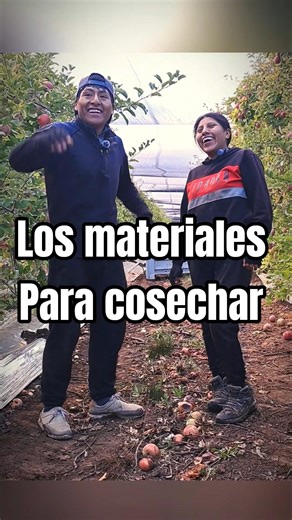 arnes capacho . etc