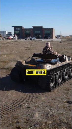 This Is Why People Love Public Auto Auctions
