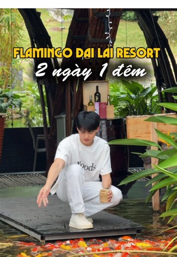 Khu nghỉ dưỡng ngay gần Hà Nội chỉ cách hơn 1 tiếng đi xe, mọi người lưu ngay lại cuối tuần dẫn gia đình đi nha ^^ Flamingo Đại Lải Resort ! #FlamingoCreators #FlamingoMoments #ChillPlayStayatFlamingo #mj6z81l #tumuondimuonnoi