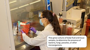 1.2K views · 15 reactions | Earn up to $48/hr in the Microbiology Lab...