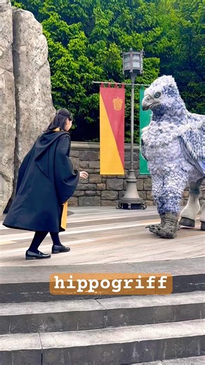 #hippogriff #ヒッポグリフ #ハリーポッター #harrypotter #movie #ヒッポグリフマジカルレッスン #マジカルクリーチャーズ #usjファン #usj #ゆにば