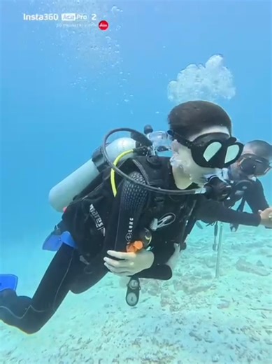 Exploring the Joy of Diving in a Wetsuit