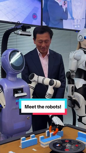 Humanoid Robots: Training for Everyday Tasks