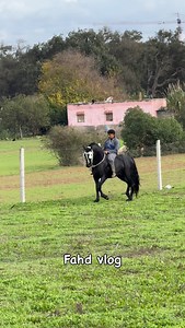 Fahd vlog❤️🐴 | Fahd vlog