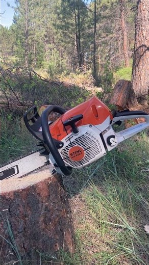 Stihl ms 462 bark box