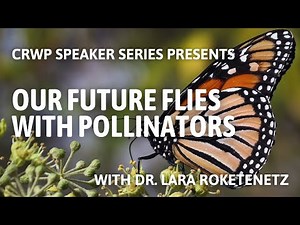 Our Future Flies With Pollinators | CRWP Speaker Series