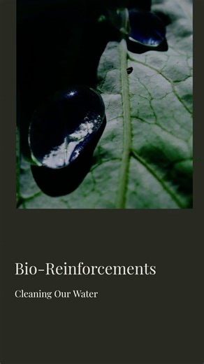 Sewage Treatment's Secret Weapon: Bio-Boosters! #sustainablesolutions