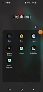 Check out this preview of the alpha release of eNuts! eNuts is an open source mobile Cashu wallet for iOS and Android 🥜📲. It has #Bitcoin Lightning support and can connect to multiple Cashu mints. 📢 Ecash cypherpunks: we need your help 👇