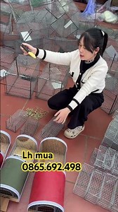 Instructions for you guys on how to build a mouse cage super easy and effective