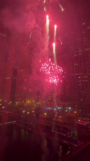 #chicagolandprotectiondogs #chicago #fyp #chicago