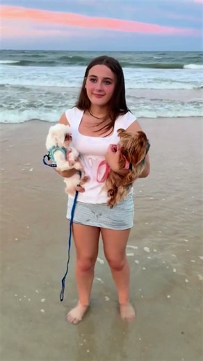 Sweet pups living their best beach life. Nothing cuter than tiny paws in the sand and salty pup