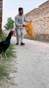 Ago cha kharas 😂😂🥱 | Kacha Brand