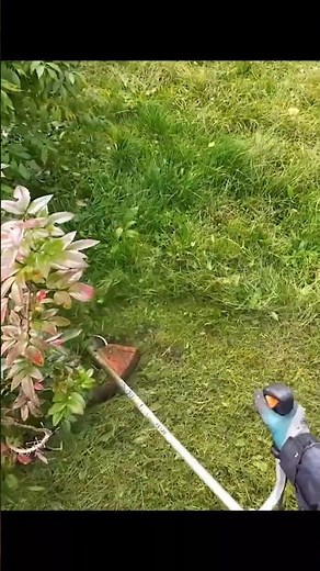 Stihl FS 120 in Action POV Cutting Wet Grass and Weeds #stihl #trimmer #diy #brushcutter #weedeater