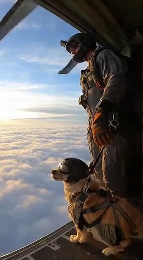 Man Skydives With His Dog — Epic Aerial Moment! 🪂🐶