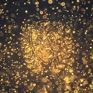 10K views · 224 reactions | The man who immortalised that famous Alan Lee goal!  A message from Brian Chapple.  #RUFC #TownCountyUnited | Rotherham United Football Club | Facebook