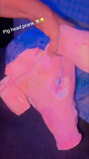 I got em good 😂😂🐷#viral #fyp #helenhouse | pranks