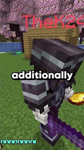 The ENTIRE DonutSMP Update Explained (NEW) #minecraft #donutsmp #mcyt #gaming #minecraftbuilding