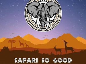 Strut Their Stuff: Bucks String Band Ready To March In Mummers Parade