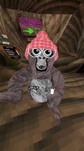 New name! #gorillatag ‪@_GorillaTagVR‬