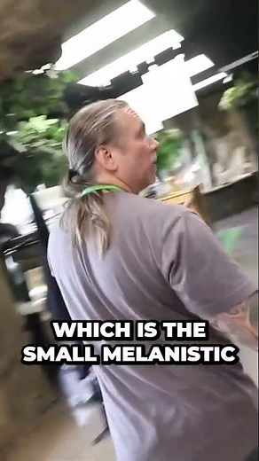 Uncovering the Surprising Behavior of Asian Water Monitors